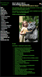 Mobile Screenshot of litamber.com